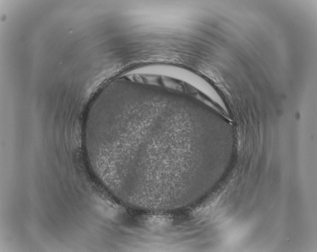 X0000089430303200706291321