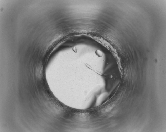 X0000089430304200706291321