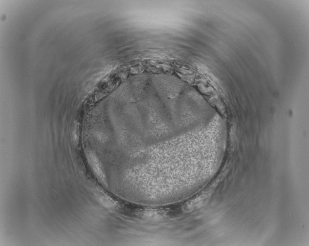 X0000089430305200706291321