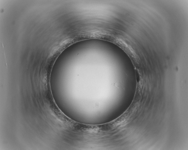 X0000089430306200706291321