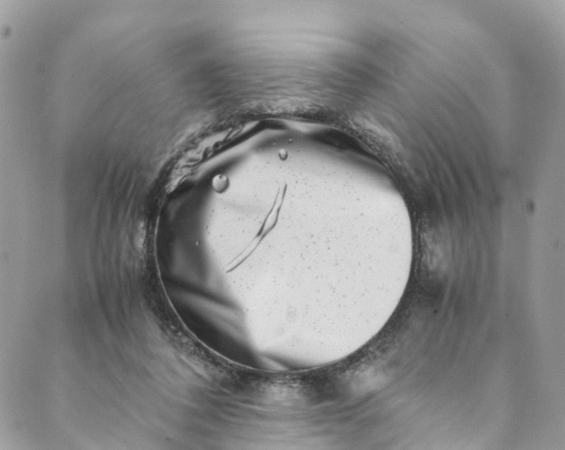 X0000089430308200706291321