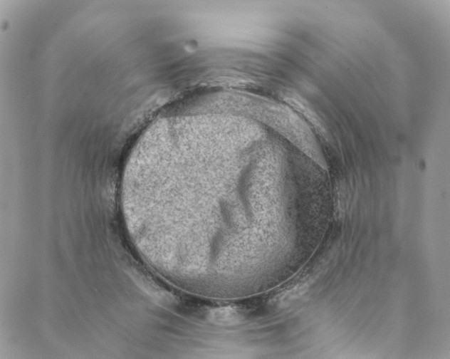 X0000089430309200706291321