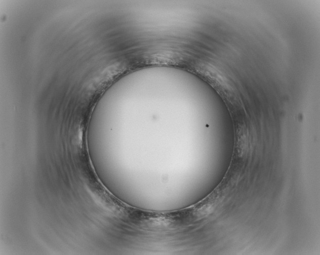 X0000089430310200706291321