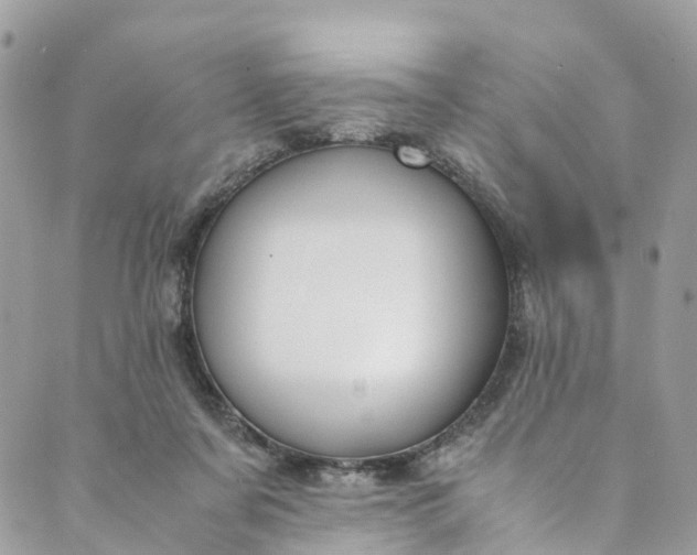 X0000089430311200706291321