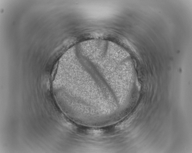 X0000089430313200706291321