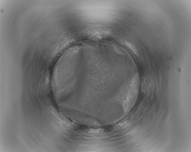 X0000089430314200706291321