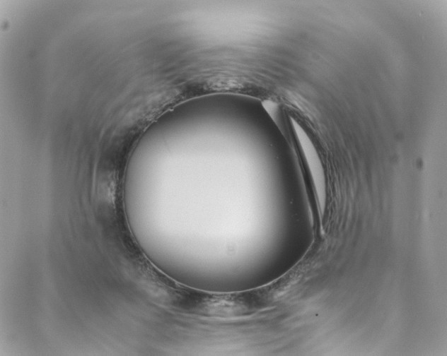 X0000089430315200706291321