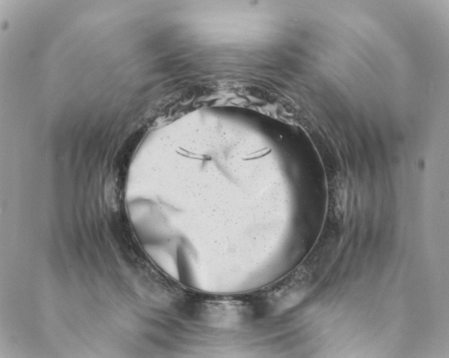 X0000089430316200706291321