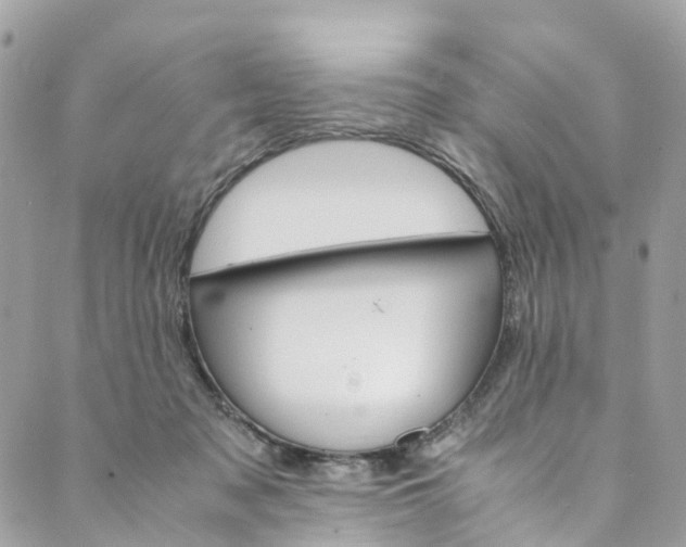 X0000089430317200706291321