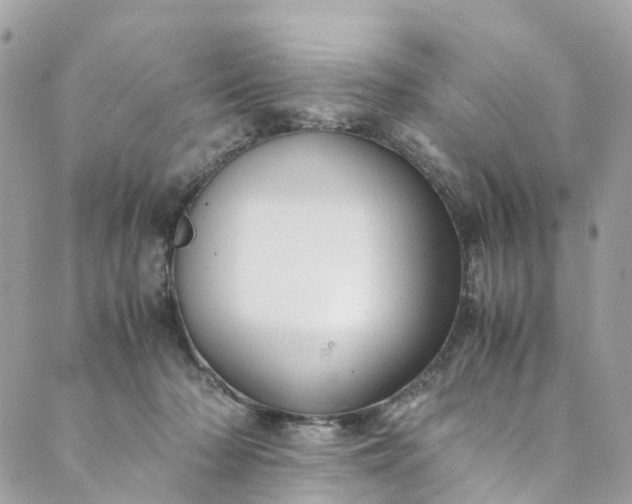 X0000089430318200706291320