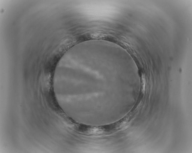 X0000089430319200706291320