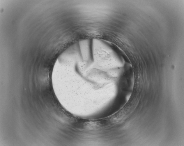 X0000089430320200706291320