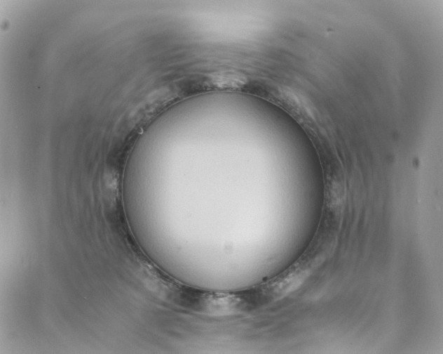 X0000089430321200706291320