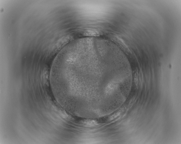 X0000089430322200706291320