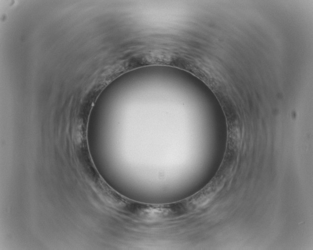 X0000089430323200706291320