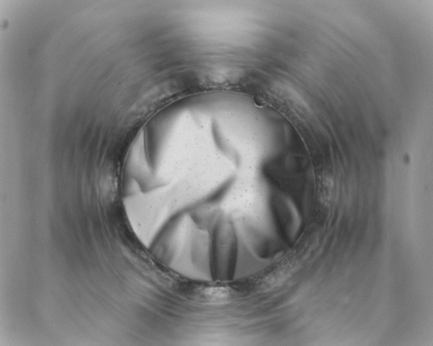 X0000089430324200706291320