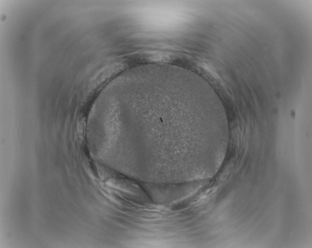 X0000089430325200706291320