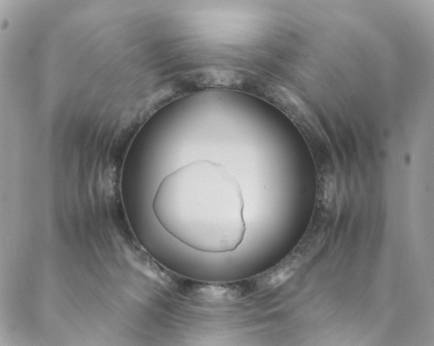 X0000089430326200706291320