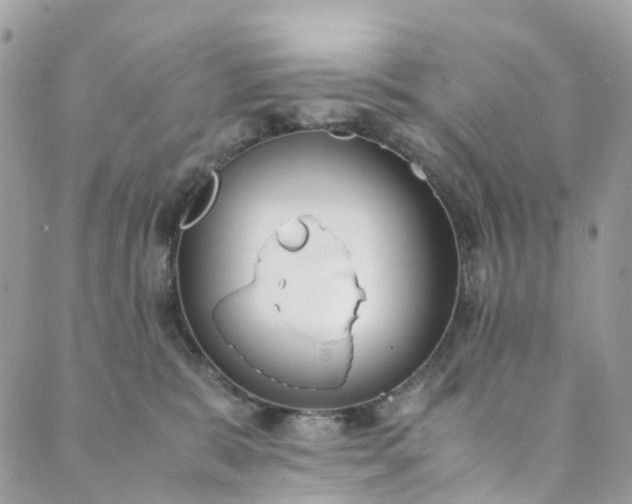 X0000089430327200706291320