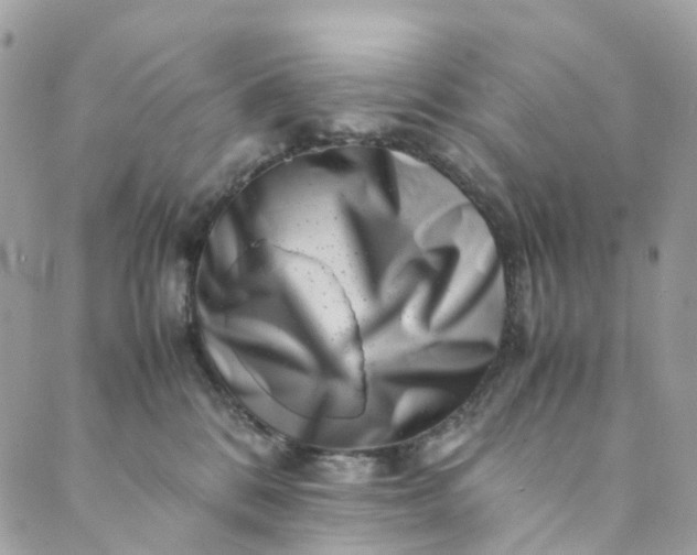 X0000089430328200706291320