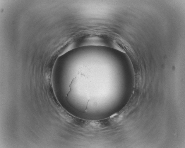 X0000089430329200706291320