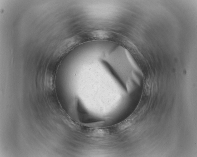 X0000089430330200706291320