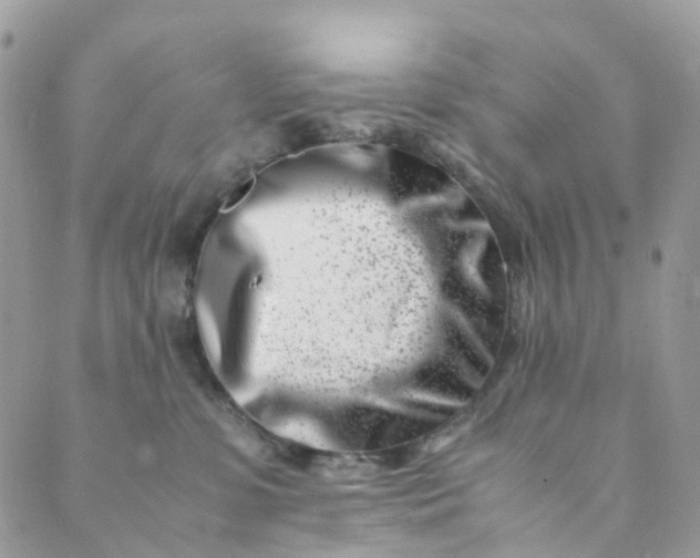 X0000089430331200706291320