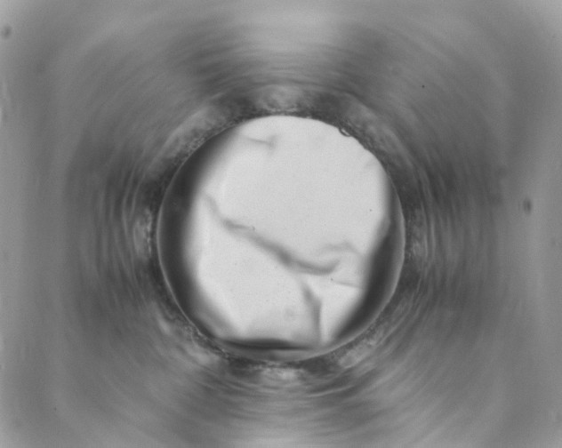 X0000089430332200706291320