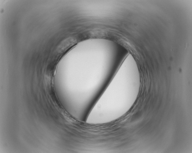 X0000089430333200706291320