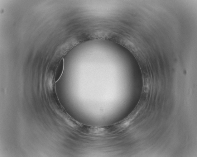 X0000089430334200706291320