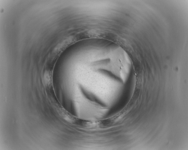 X0000089430335200706291320