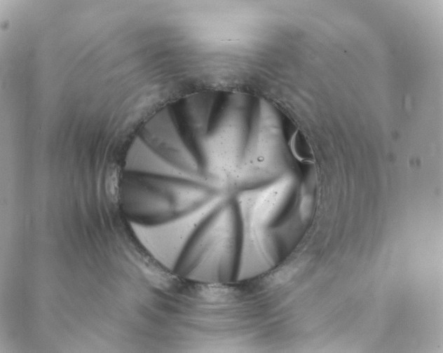 X0000089430336200706291320