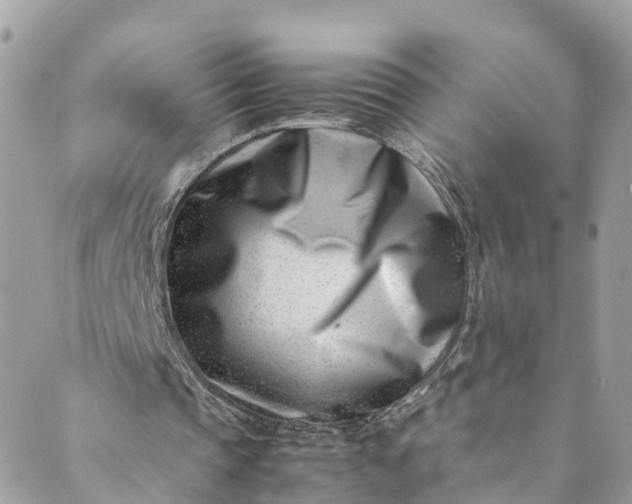 X0000089430337200706291319