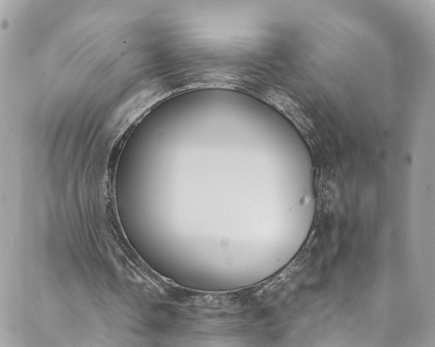 X0000089430338200706291319