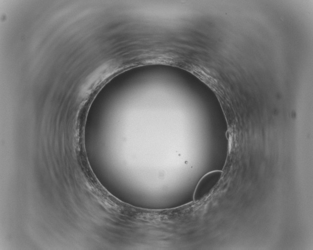 X0000089430339200706291319