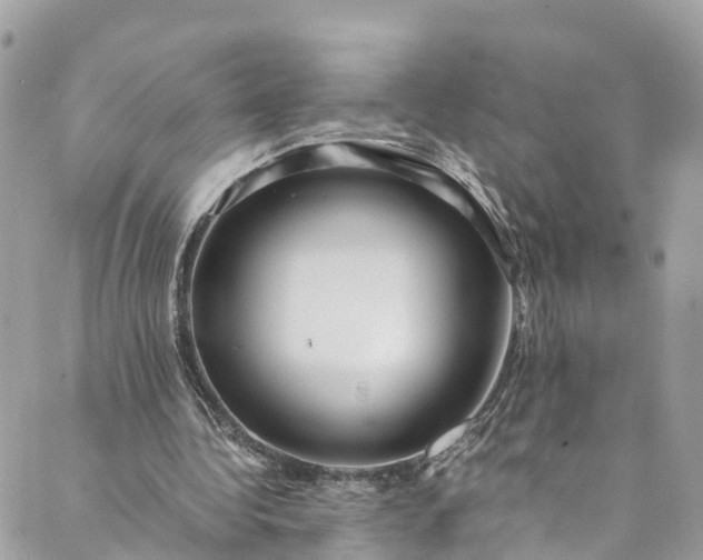 X0000089430340200706291319