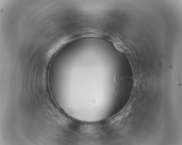 X0000089430341200706291319