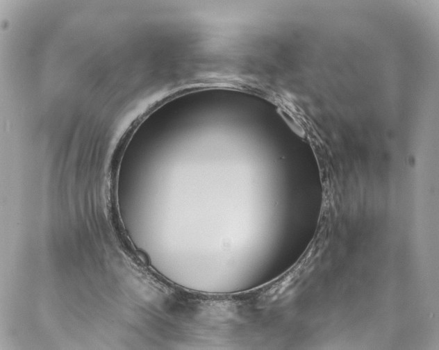 X0000089430342200706291319