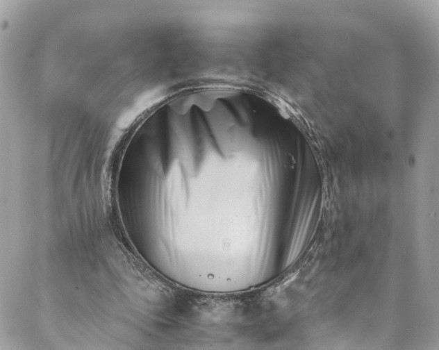 X0000089430343200706291320