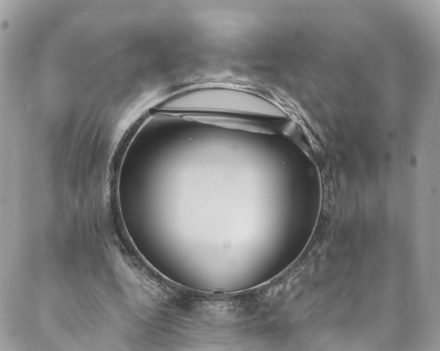 X0000089430344200706291320