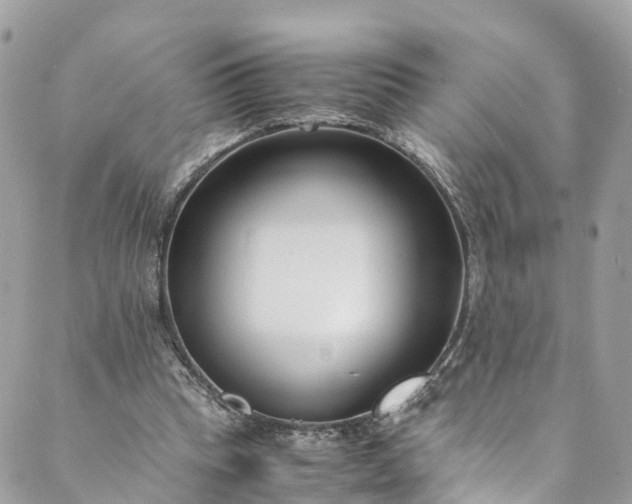 X0000089430345200706291320