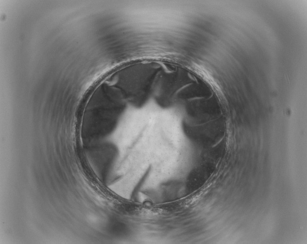 X0000089430346200706291320