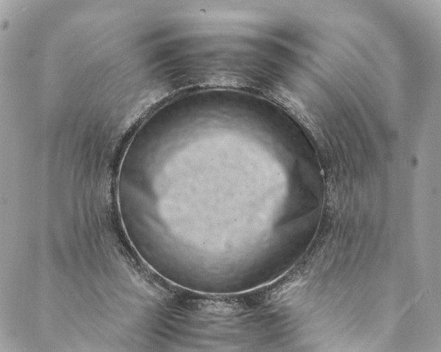 X0000089430347200706291320