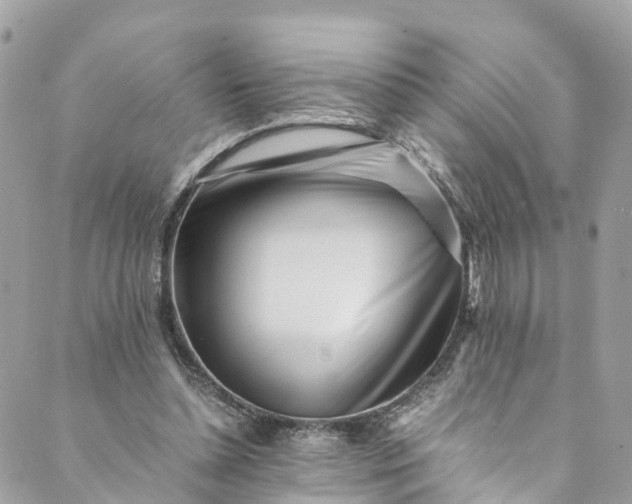 X0000089430348200706291320