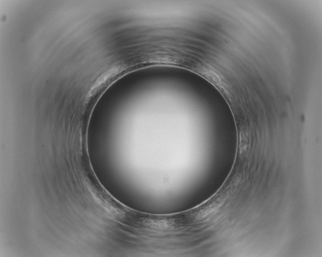 X0000089430349200706291320