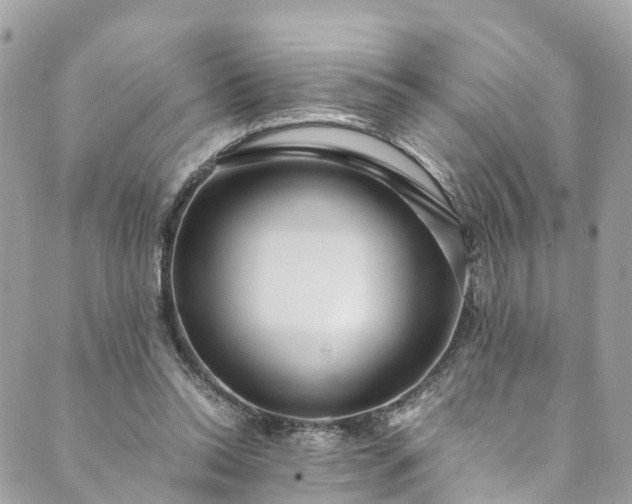 X0000089430350200706291320