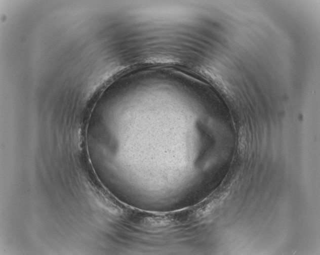 X0000089430351200706291320