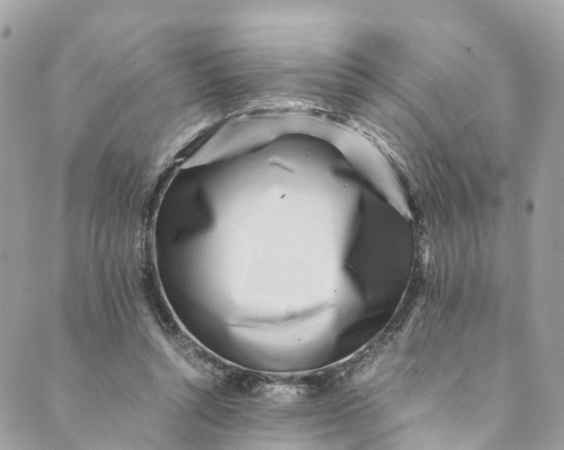 X0000089430352200706291320