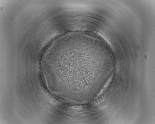 X0000089430353200706291320