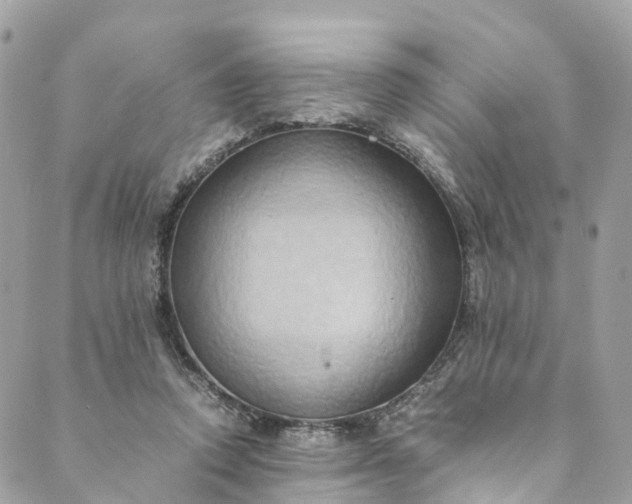 X0000089430354200706291320